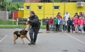 Mestská polícia pripravuje v školách prednášky zamerané na prevenciu kriminality.