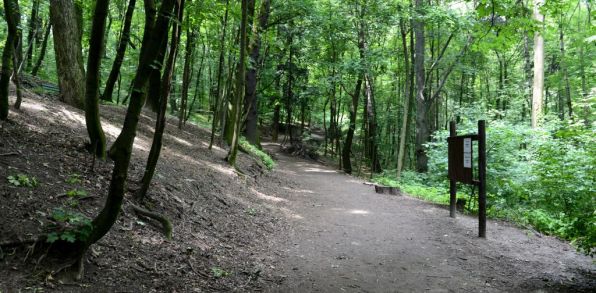 Materská škôlka sa nachádza v Horskom parku.