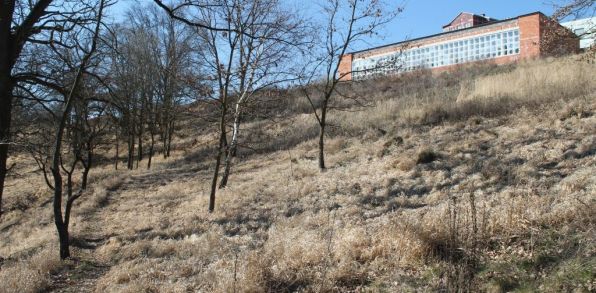 Akékoľvek vypaľovanie porastov bylín, kríkov a stromov je zakázané zákonom o ochrane pred požiarmi.