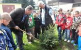 V blízkosti školy vysadili niekoľko smrekov. Foto: www.bytca.sk