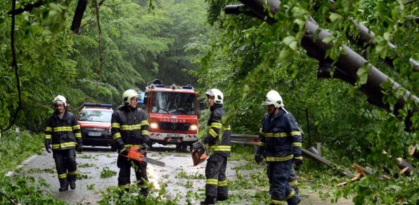 Hasiči odstraňujú popadané stromy po silnom vetre  (Zdroj: TASR)