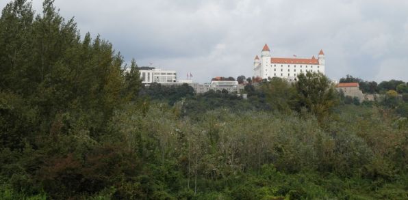 V prípade Pečnianskeho lesa by mohlo ísť o ohrozenie vzácneho biotopu.